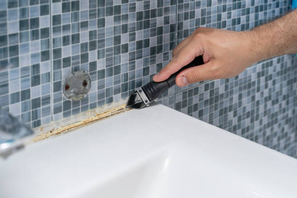 Best Industrial Mold Remediation in Thornton, IL